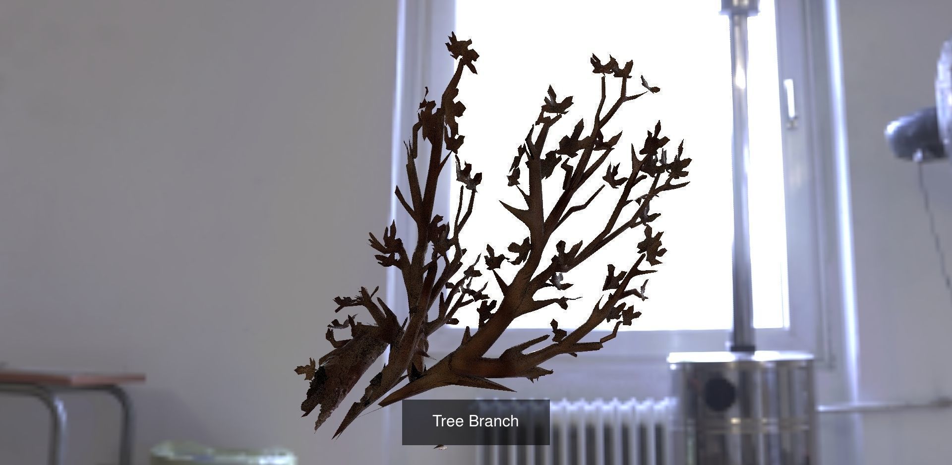Tree branch collection _5