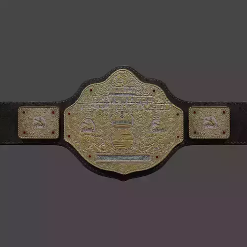 NWA WCW WORLD HEAVYWEIGHT WRESTLING CHAMPION Free 3D model