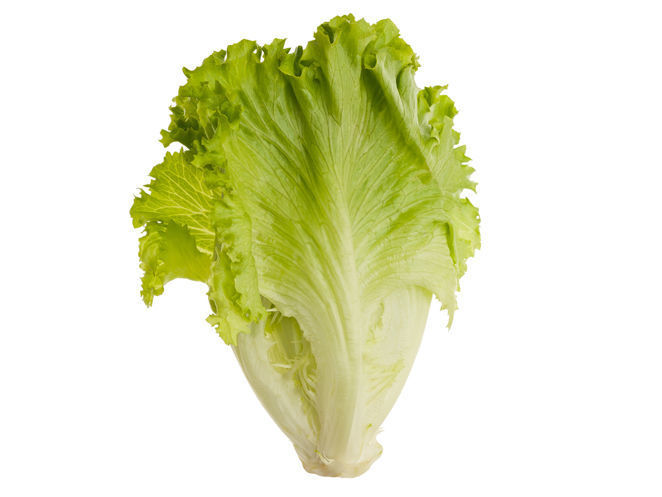 Sandwich 3D model_16