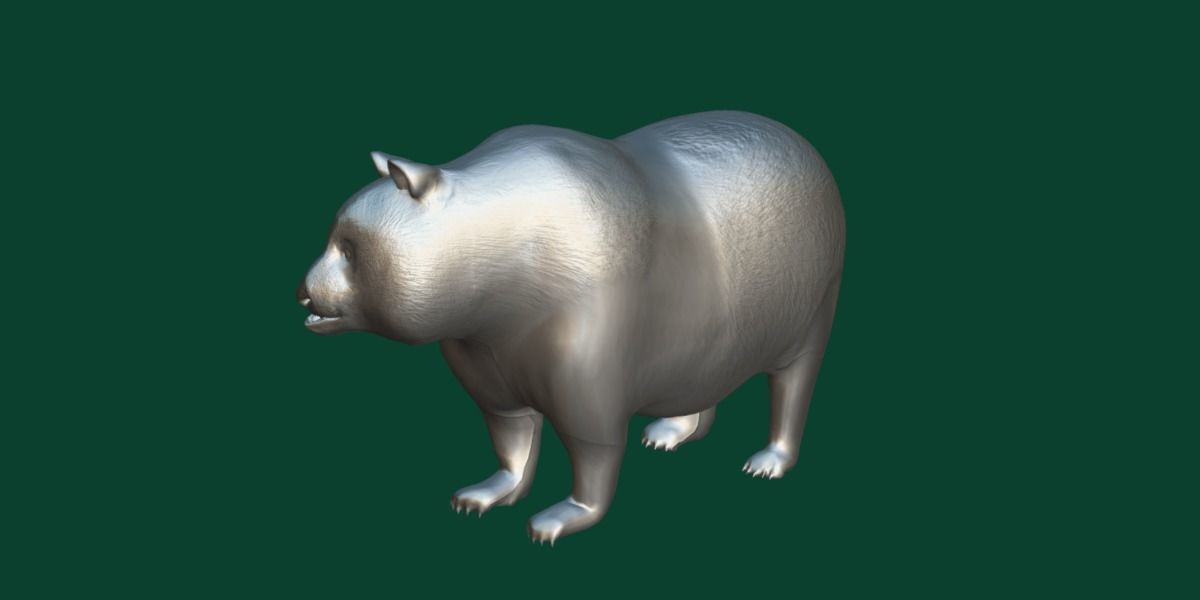 Giant Panda Bear  3D model_6