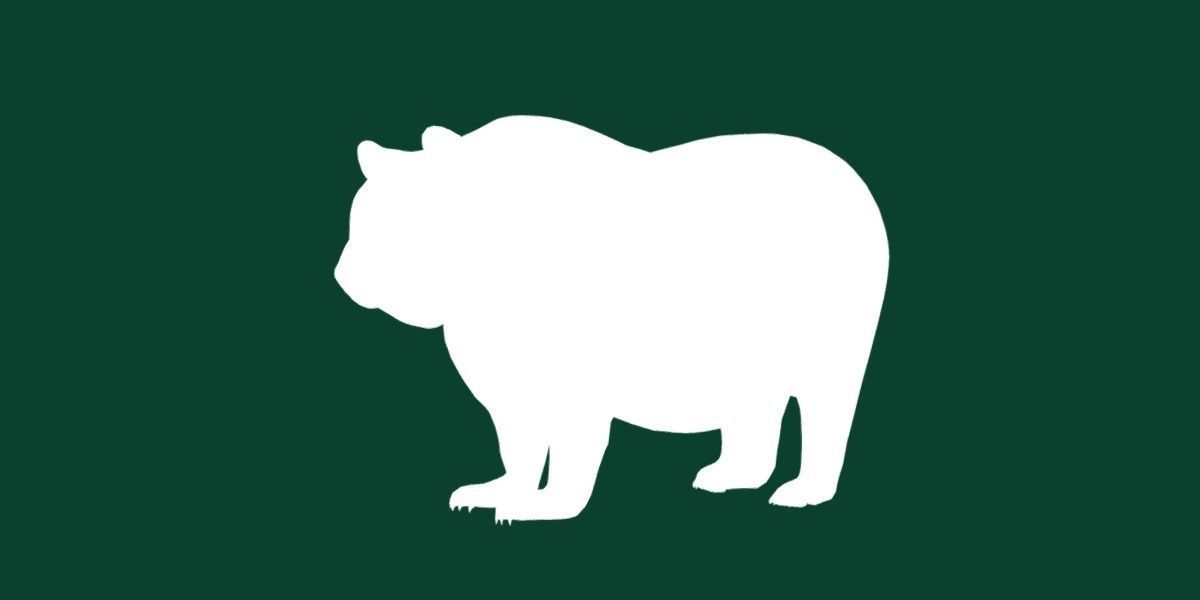 Giant Panda Bear  3D model_16