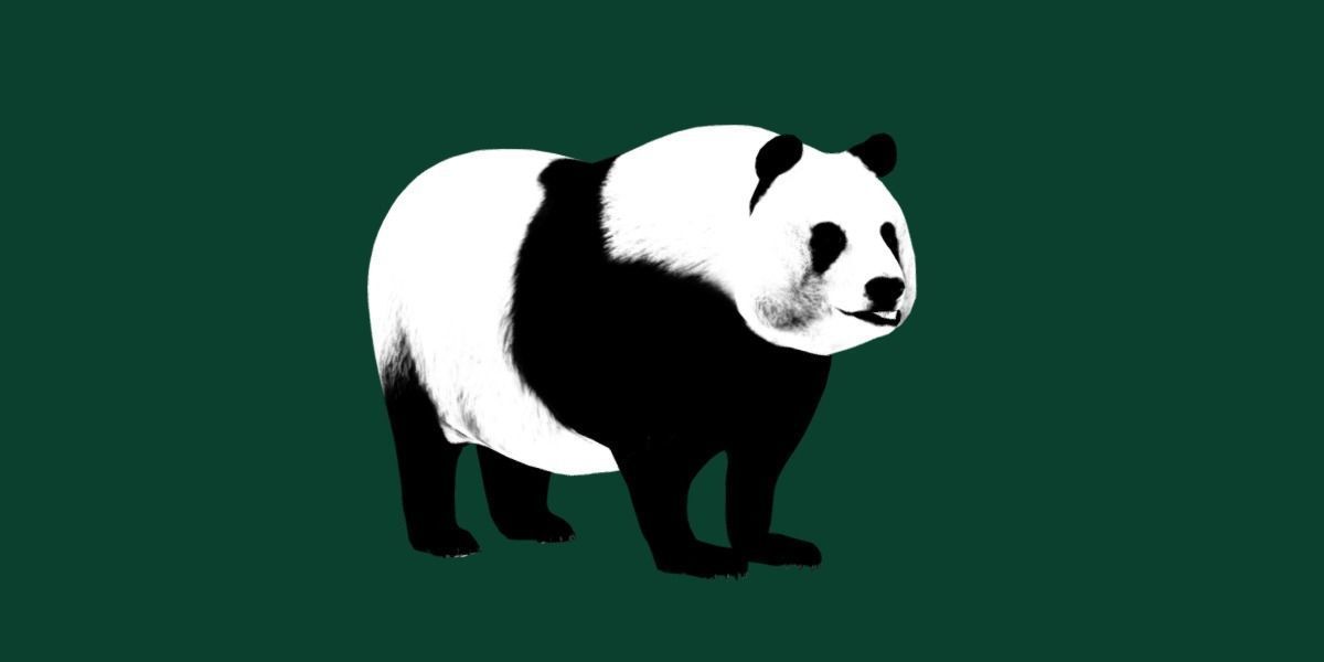 Giant Panda Bear  3D model_4