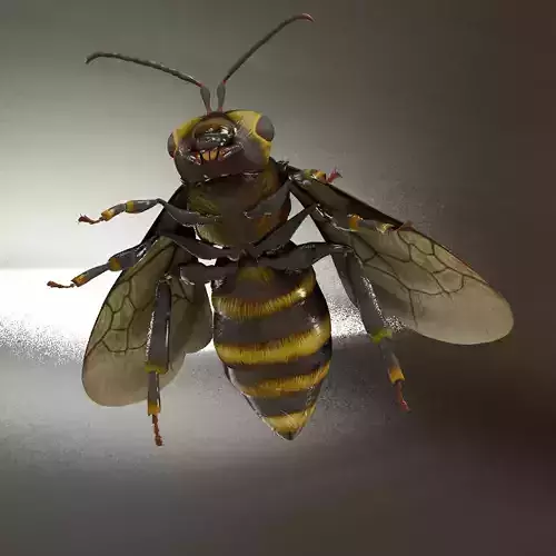 Detailed Animated Bee 3D Model Low-poly 3D model