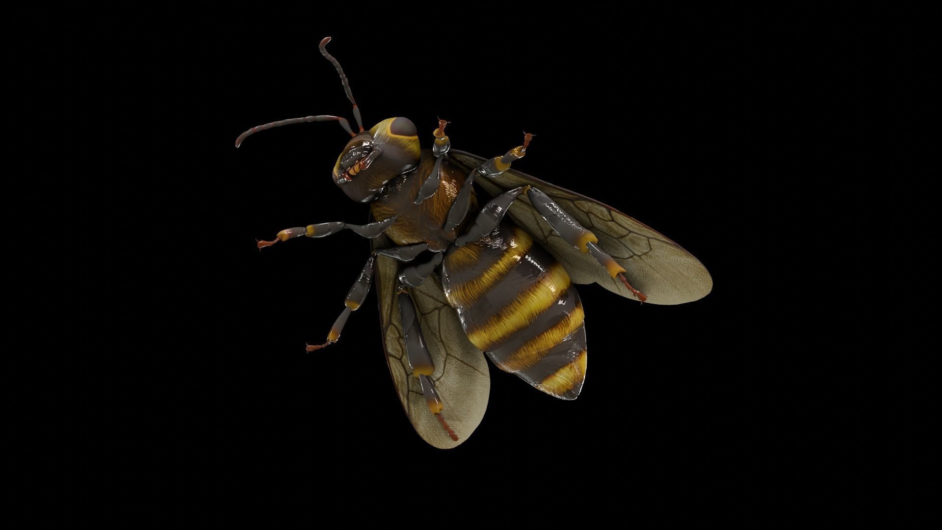 Detailed Animated Bee 3D Model Low-poly 3D model_4