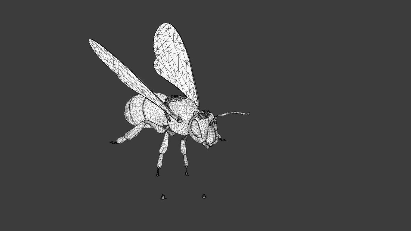 Detailed Animated Bee 3D Model Low-poly 3D model_16