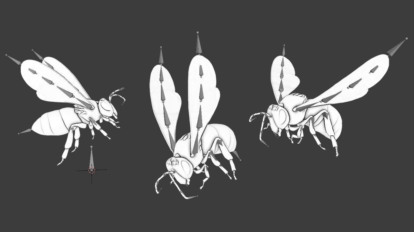 Detailed Animated Bee 3D Model Low-poly 3D model_13