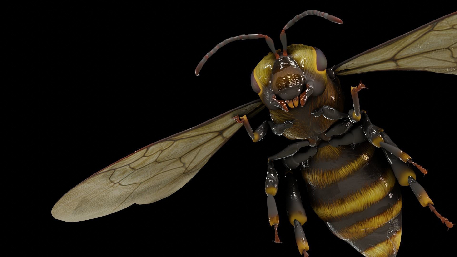 Detailed Animated Bee 3D Model Low-poly 3D model_10