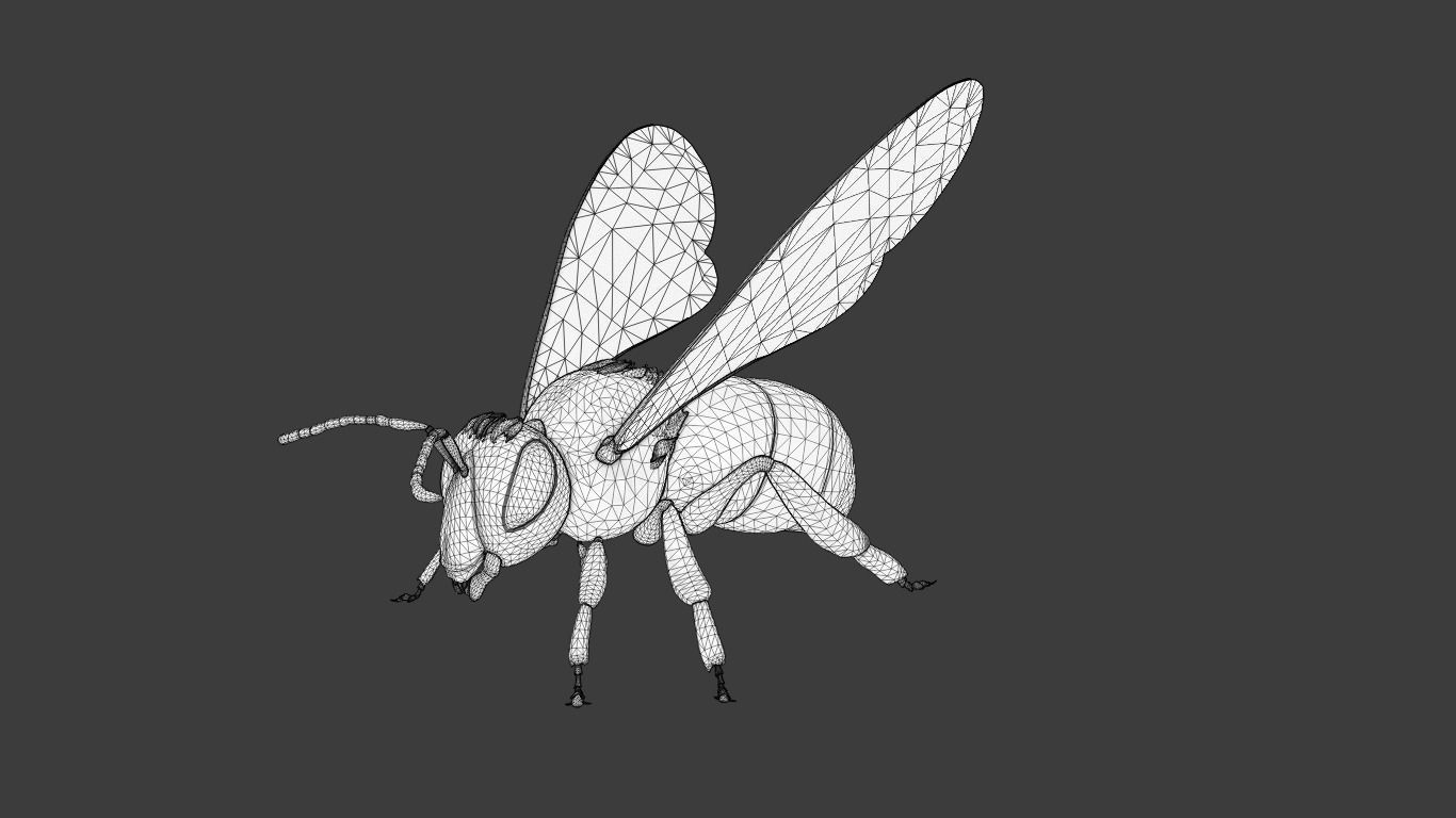 Detailed Animated Bee 3D Model Low-poly 3D model_15