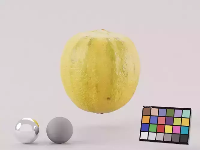 Pink Tiger Lemon Photoscan