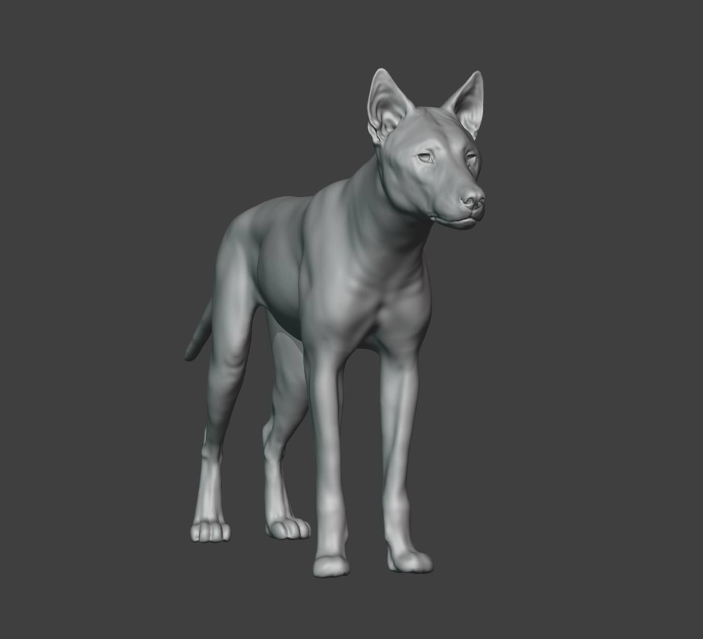 Wolf model Exercise 3D model_3