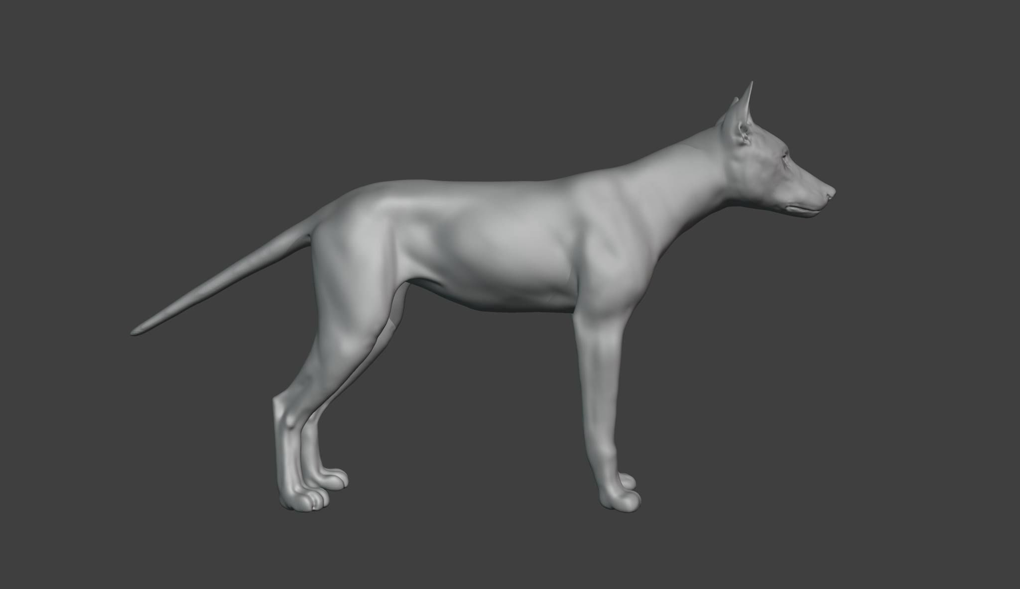 Wolf model Exercise 3D model_5