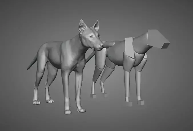 Wolf model Exercise