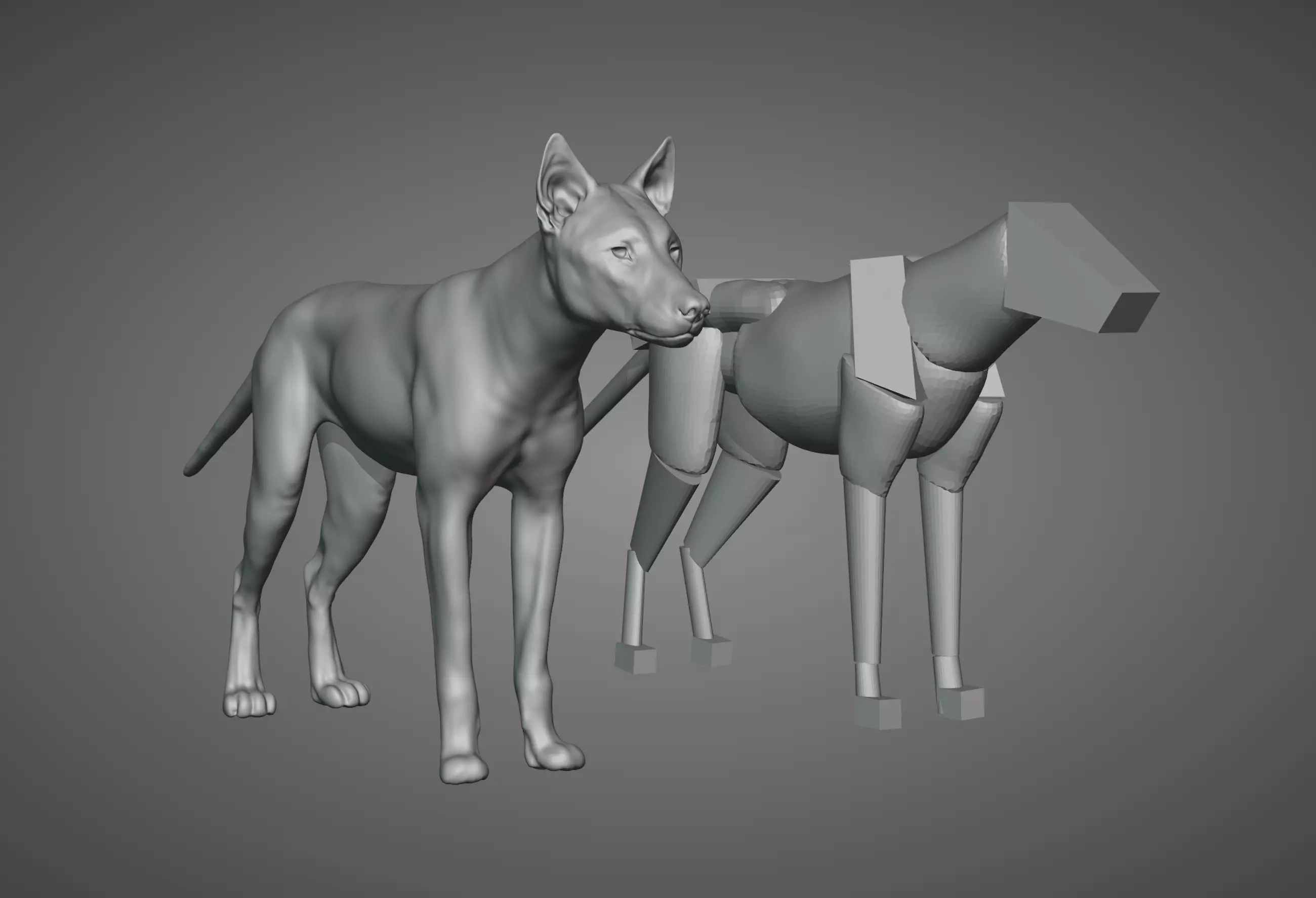 Wolf model Exercise 3D model_0