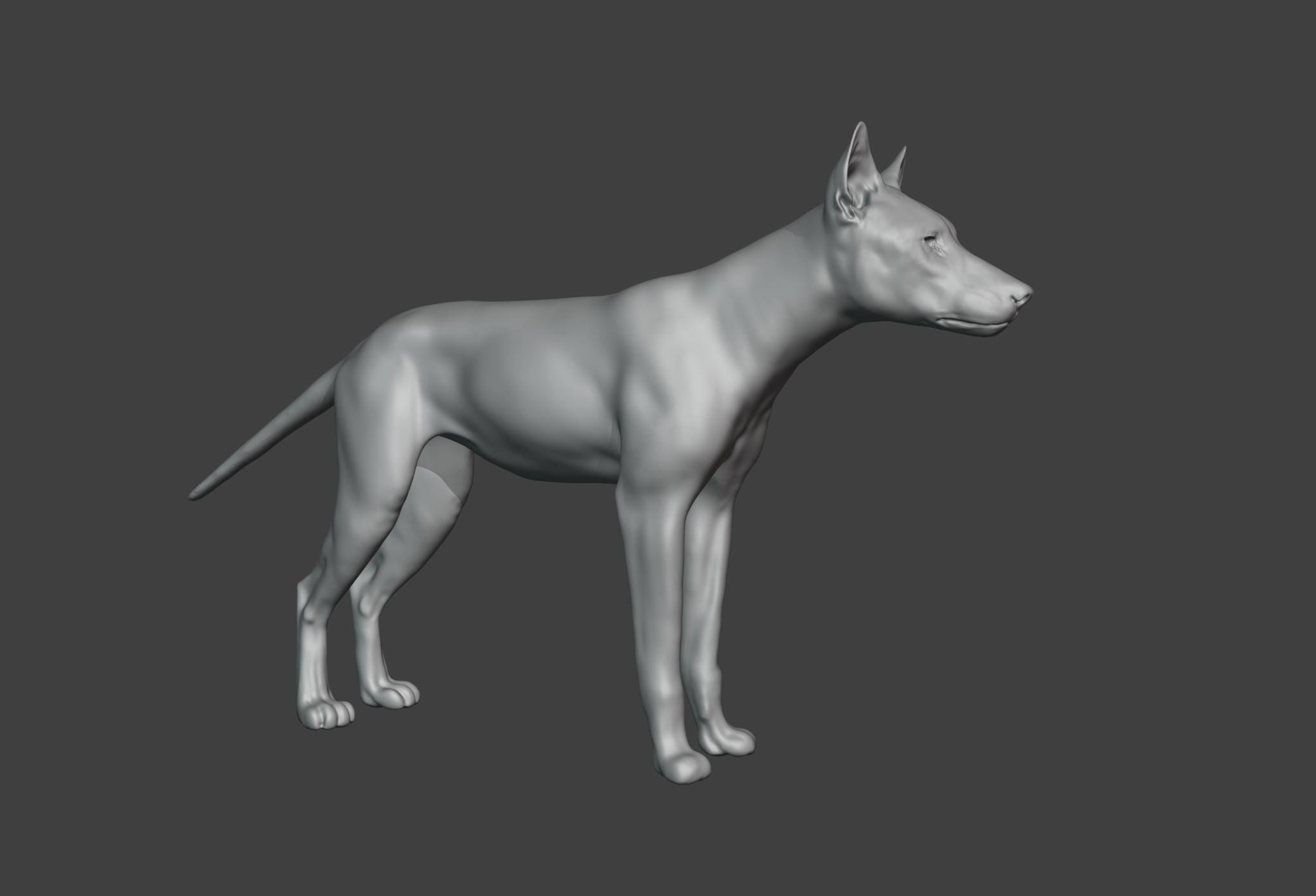 Wolf model Exercise 3D model_4