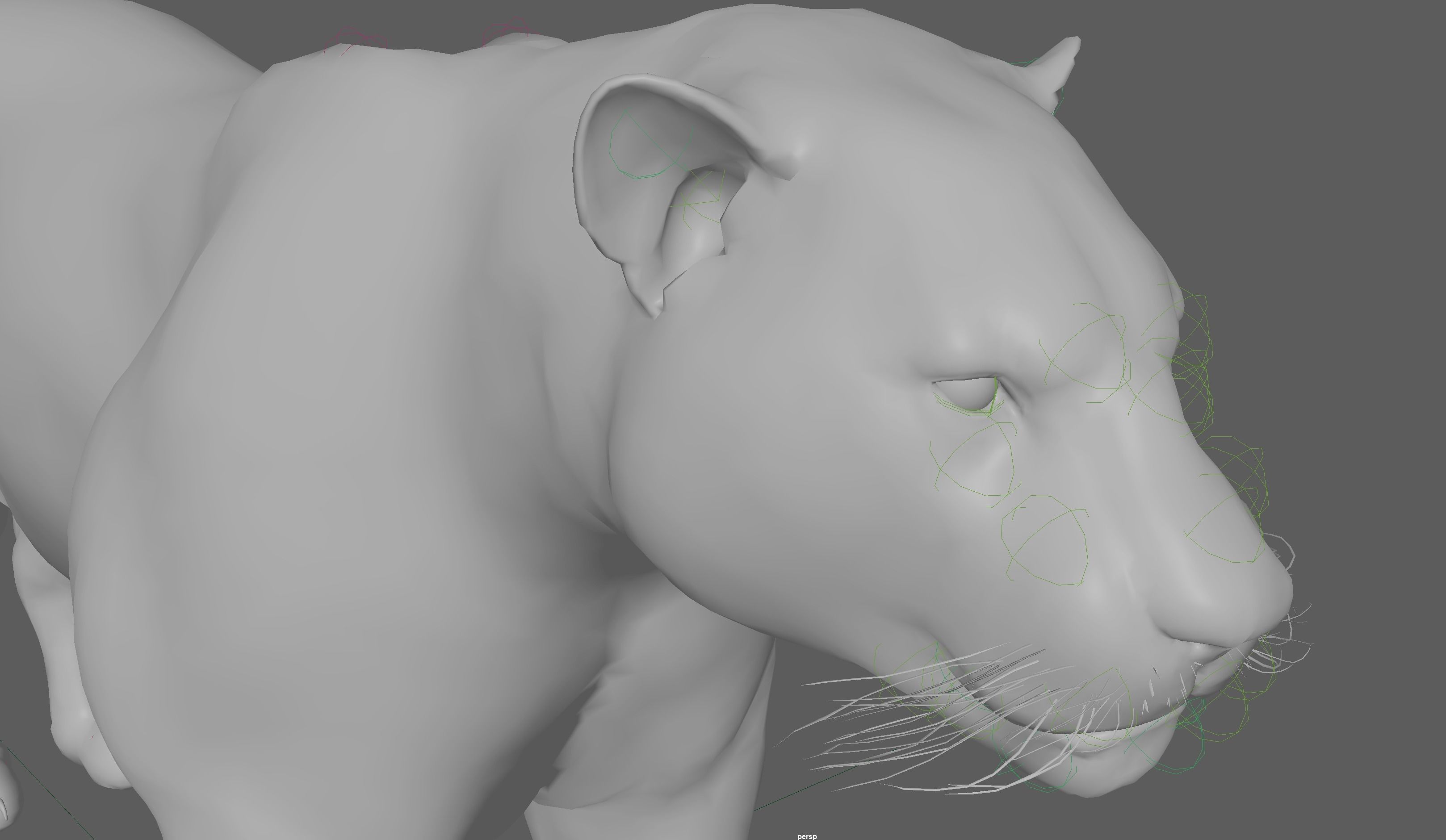 Jaguar Rigged 3D model_13