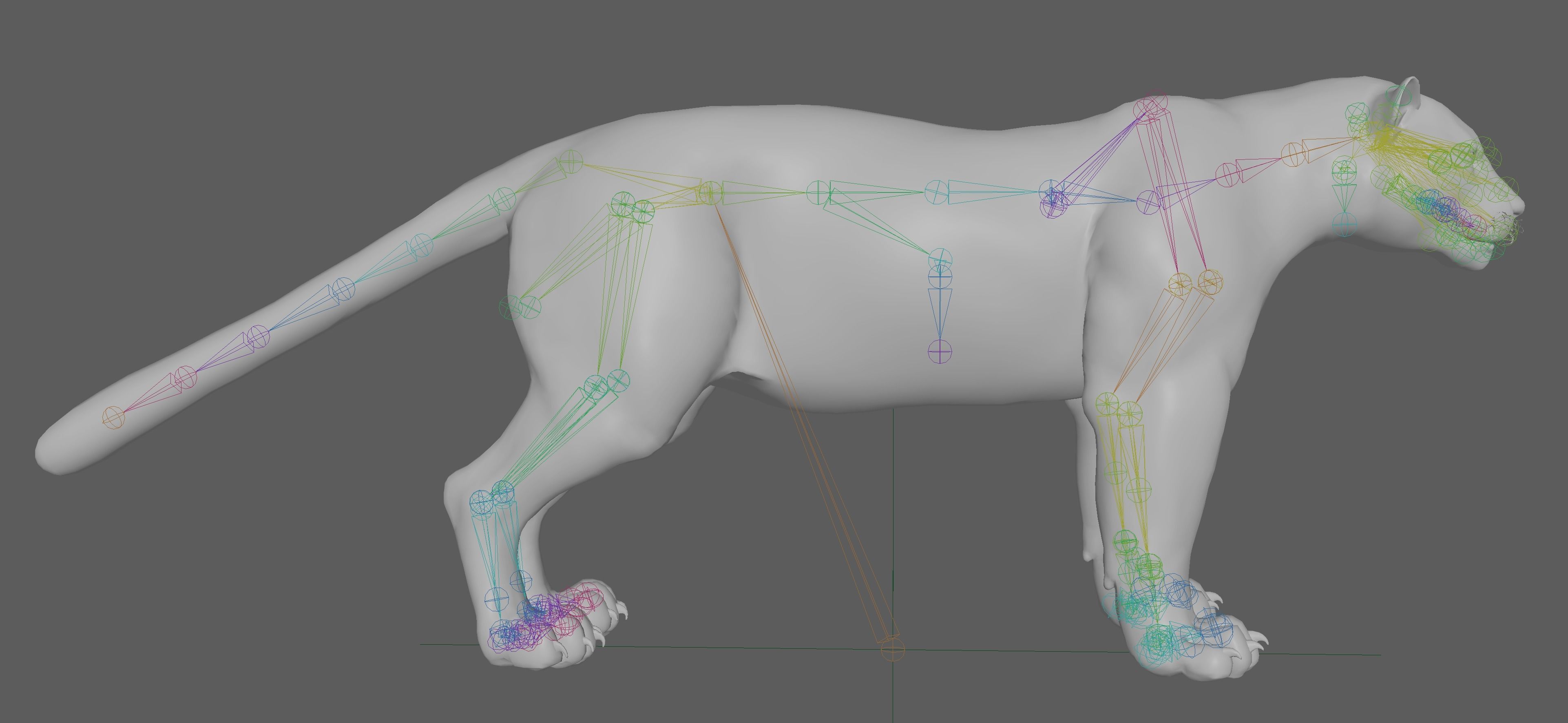 Jaguar Rigged 3D model_11