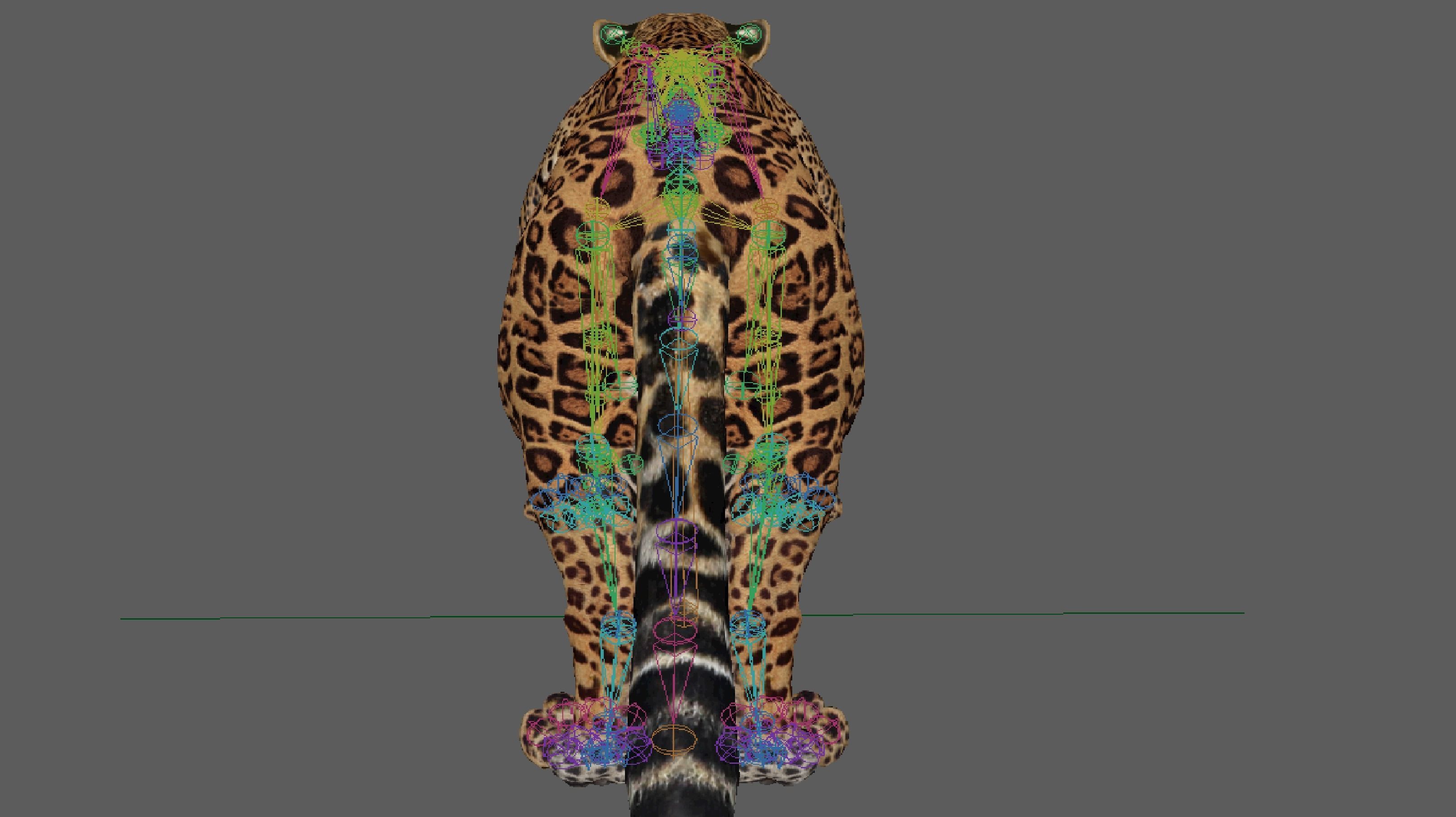 Jaguar Rigged 3D model_12