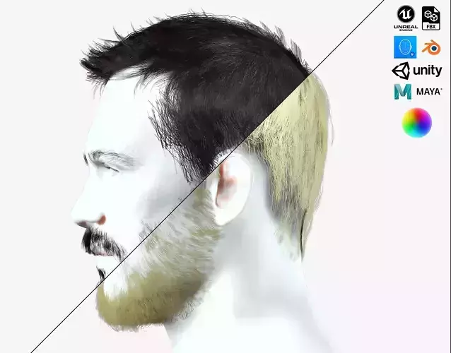 Classique Male Hair - Beard - Moustache Low-poly 3D model