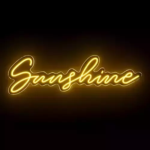 Sunshine Neon Sign