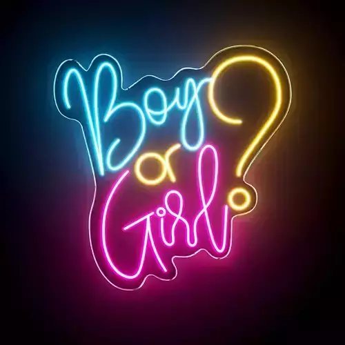Boy Or Girl Neon Sign