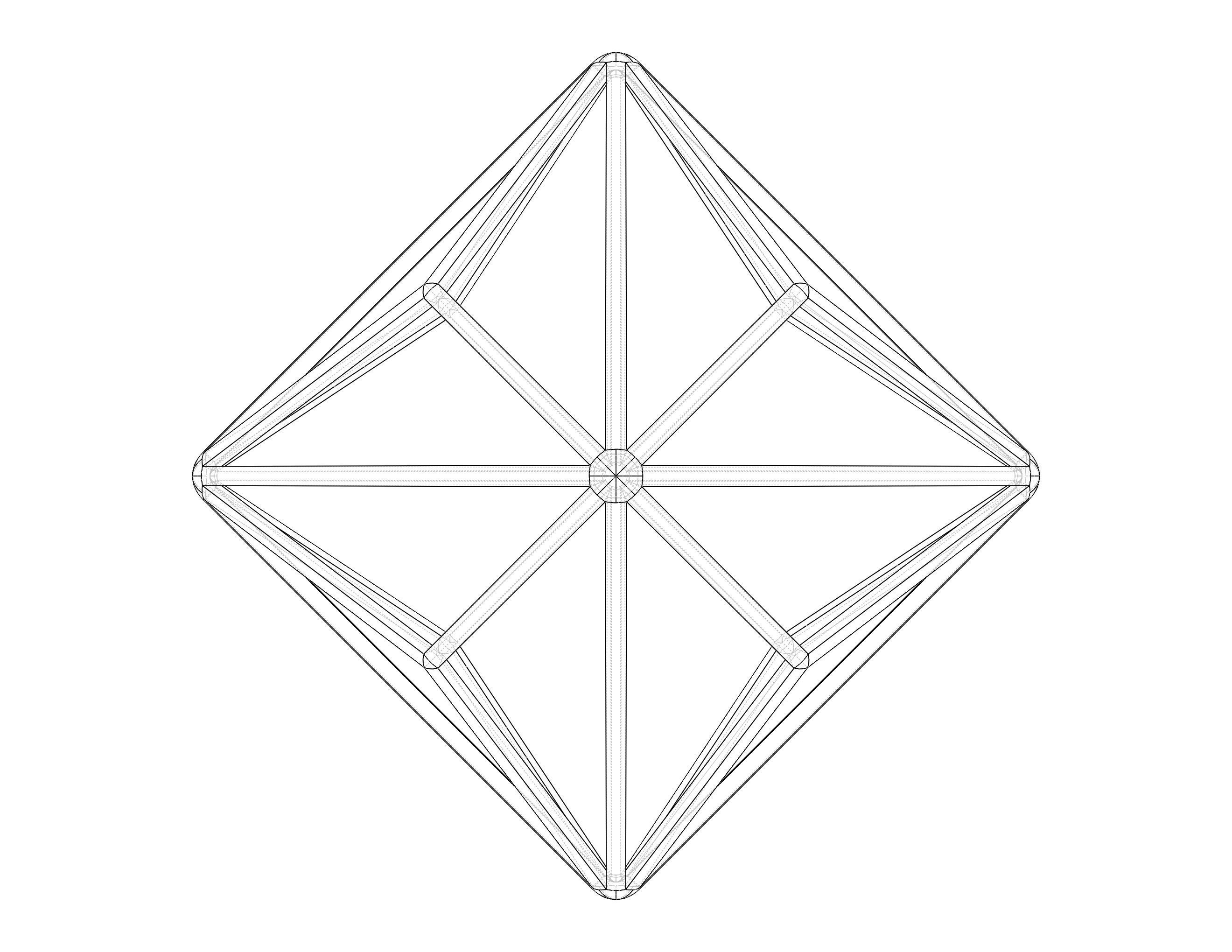 Wireframe Shape Triakis Octahedron 3D print model_27