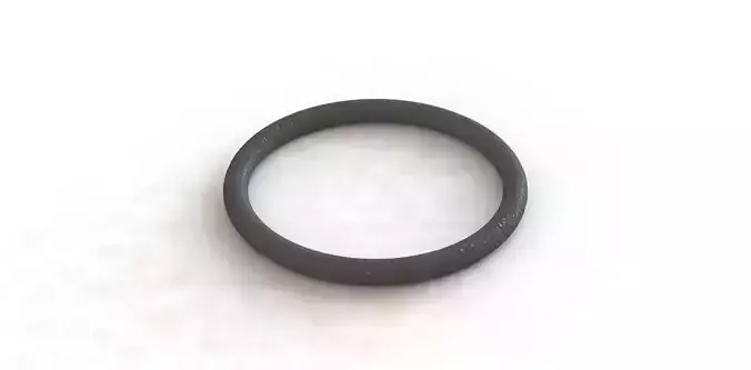 O Ring Vedabras 13100 3D model