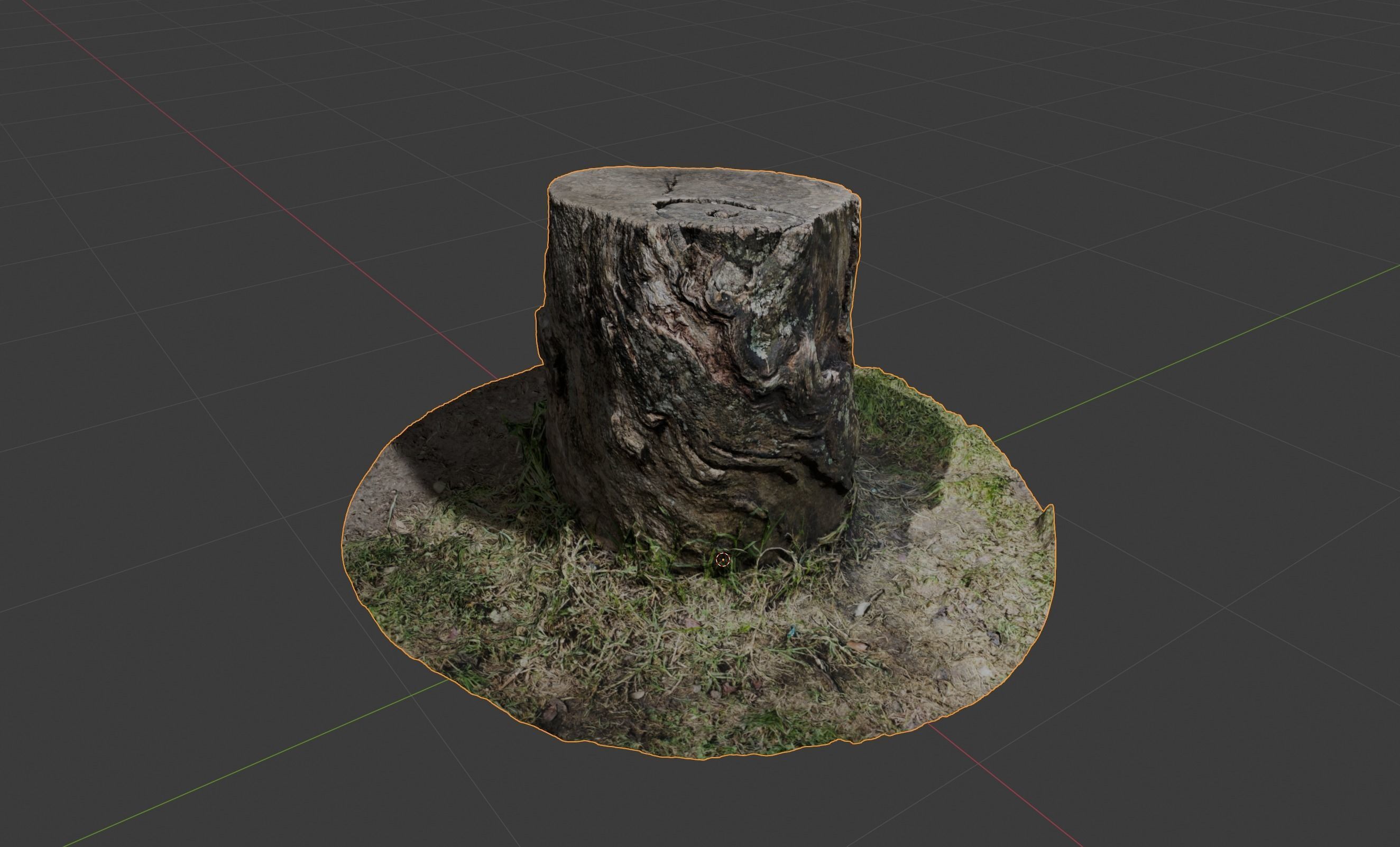 Tree Trunk 3D model with High Detail Photogrammetry 3D model_5