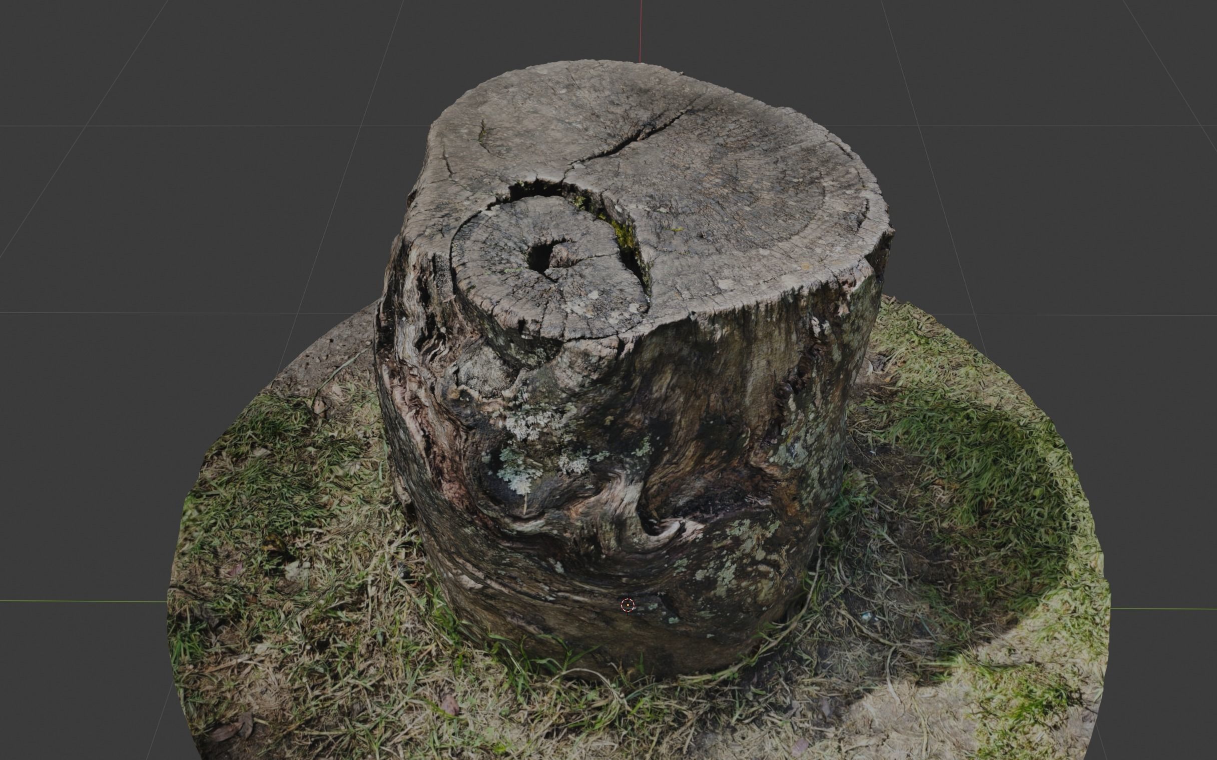 Tree Trunk 3D model with High Detail Photogrammetry 3D model_2