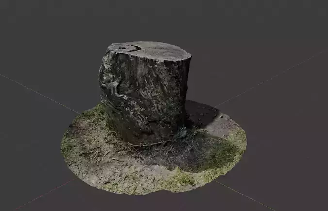 Tree Trunk 3D model with High Detail Photogrammetry 3D model