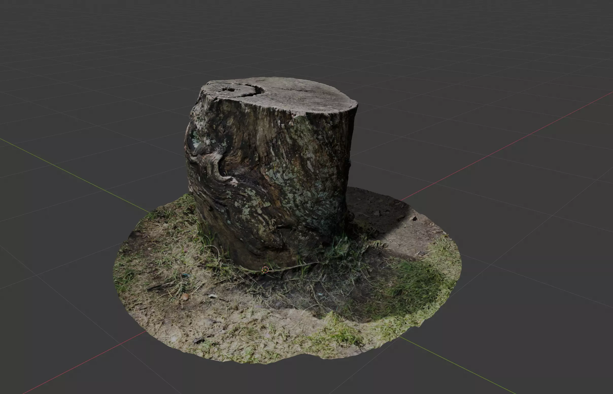 Tree Trunk 3D model with High Detail Photogrammetry 3D model_0