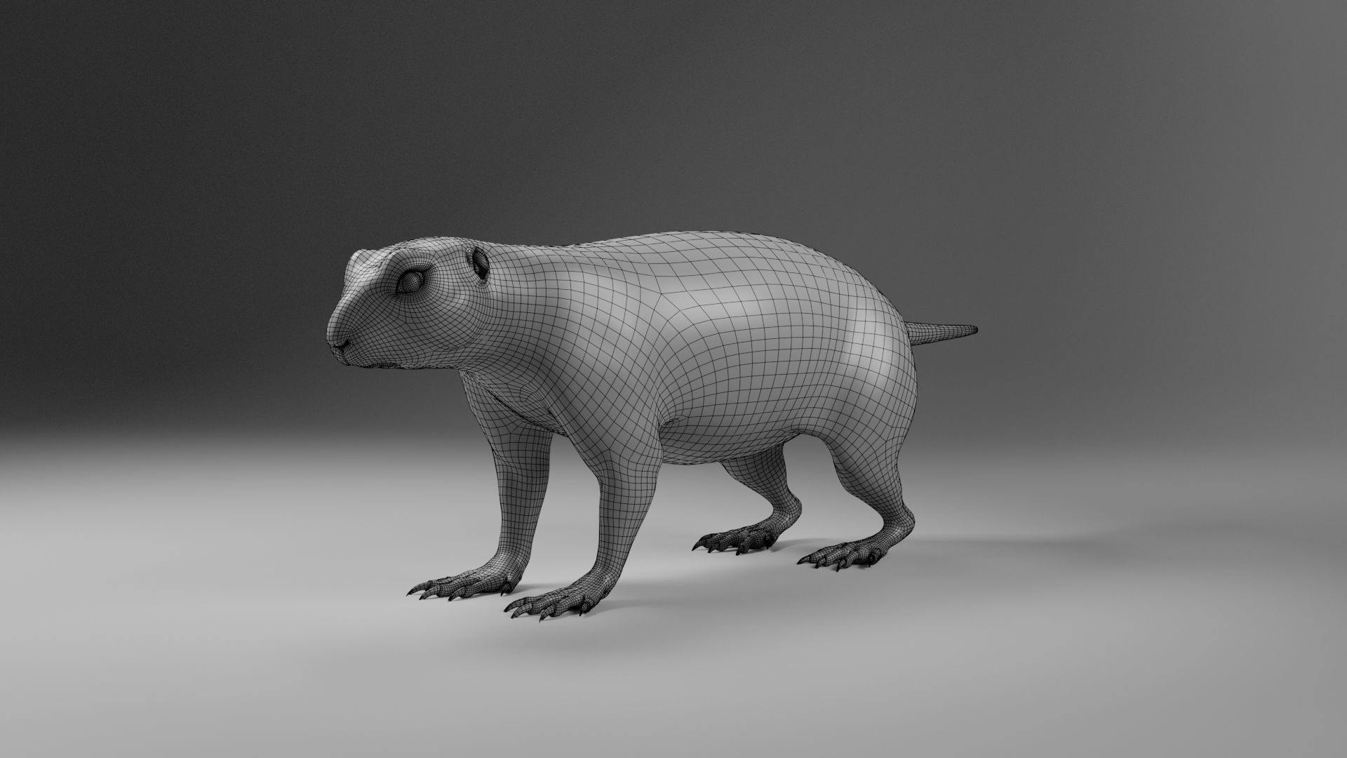 Prairie Dog Animation  VFX Grace 3D model_22