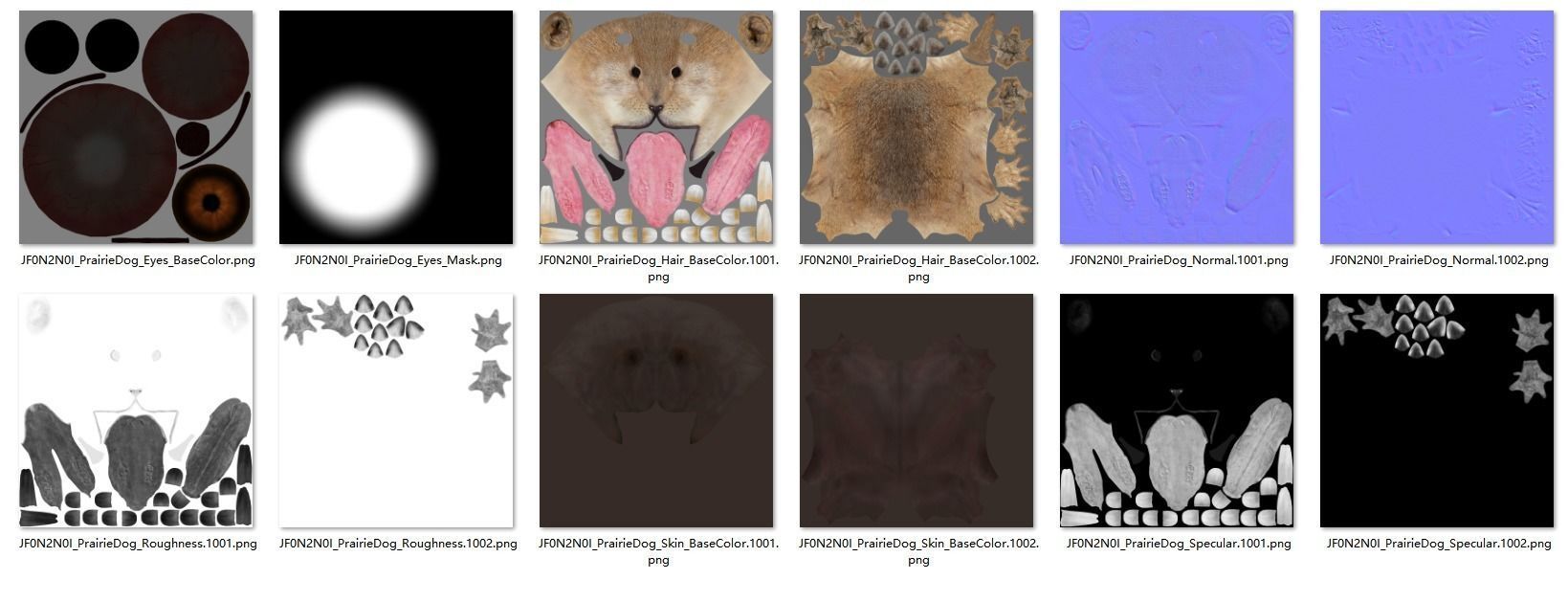 Prairie Dog Animation  VFX Grace 3D model_20