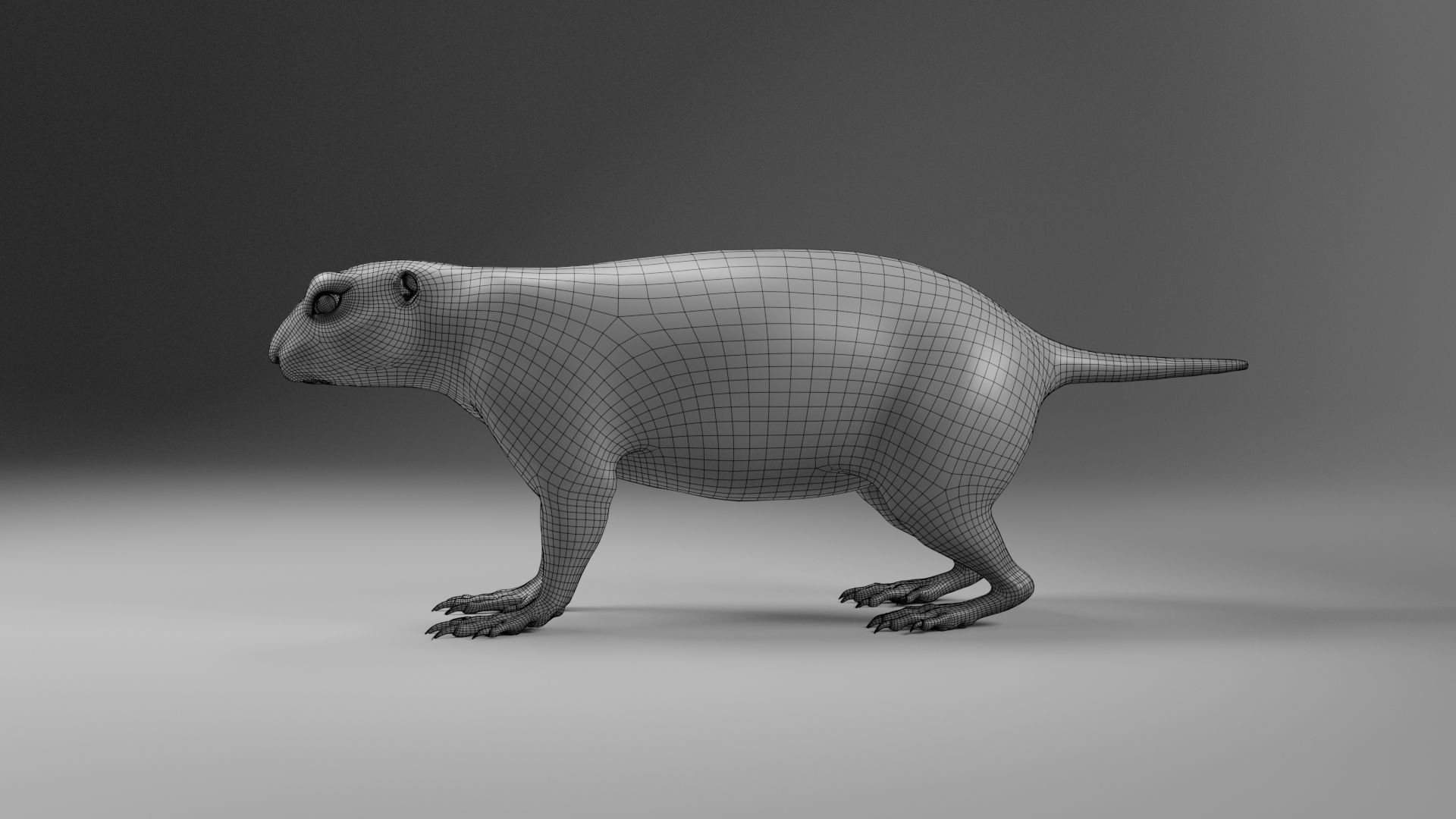 Prairie Dog Animation  VFX Grace 3D model_21