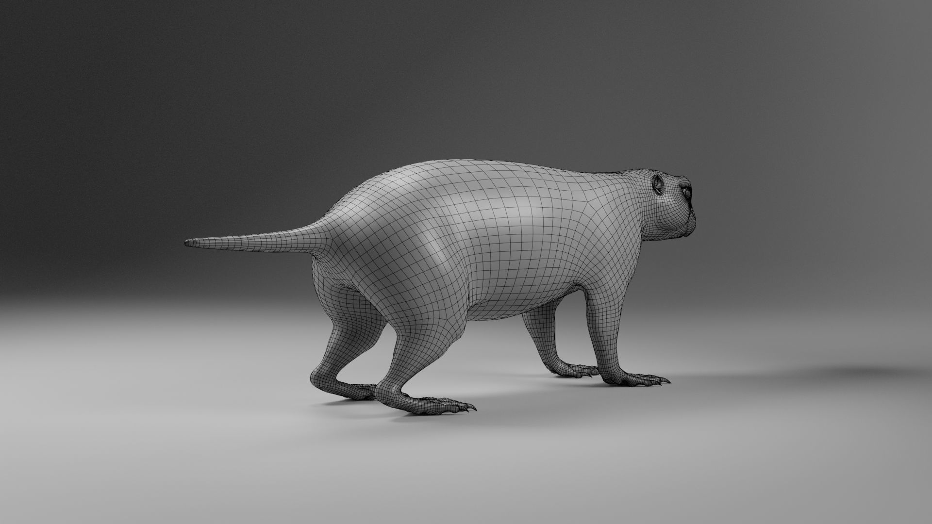 Prairie Dog Animation  VFX Grace 3D model_23