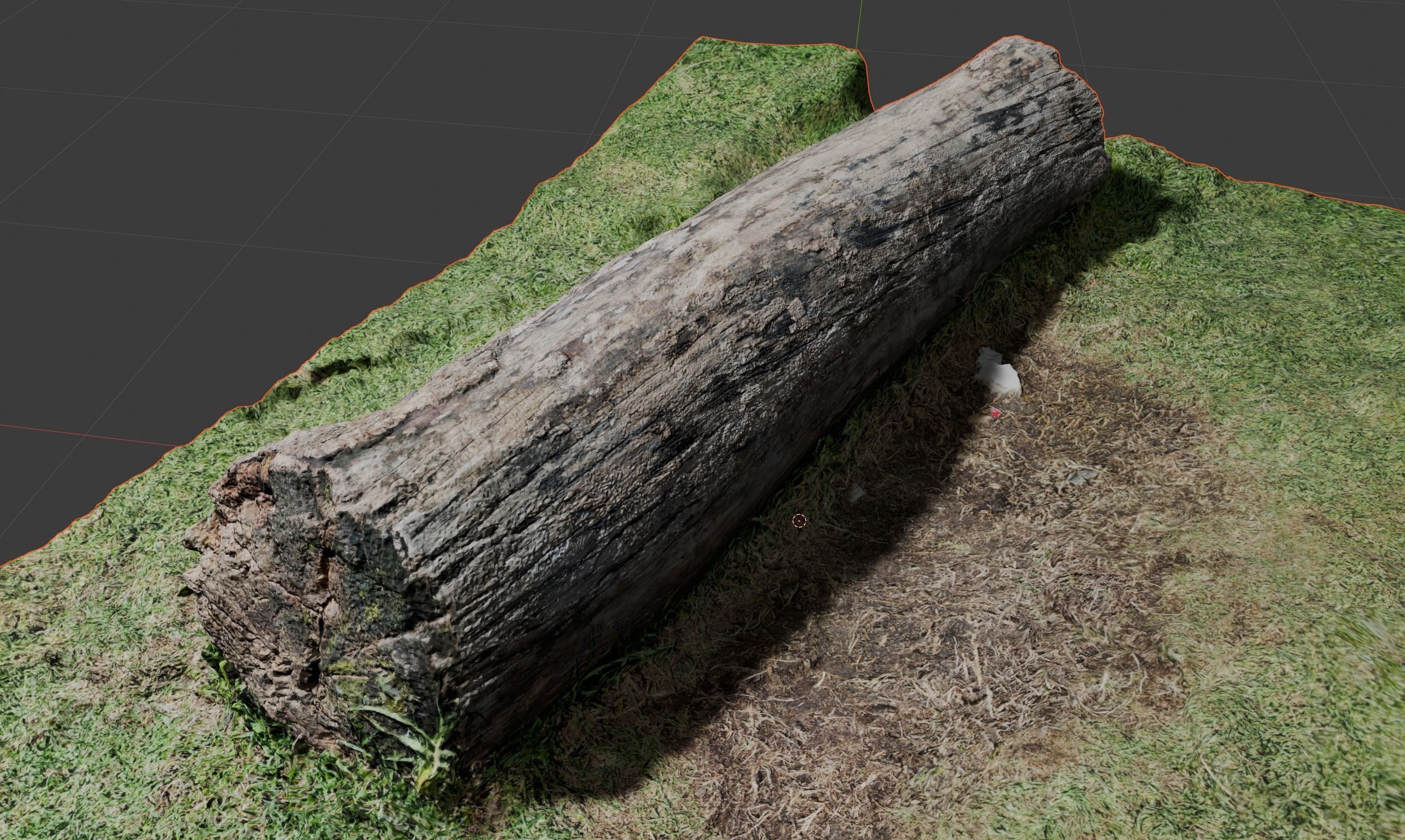 Tree bark on ground high scanned 3D model 3D model_2