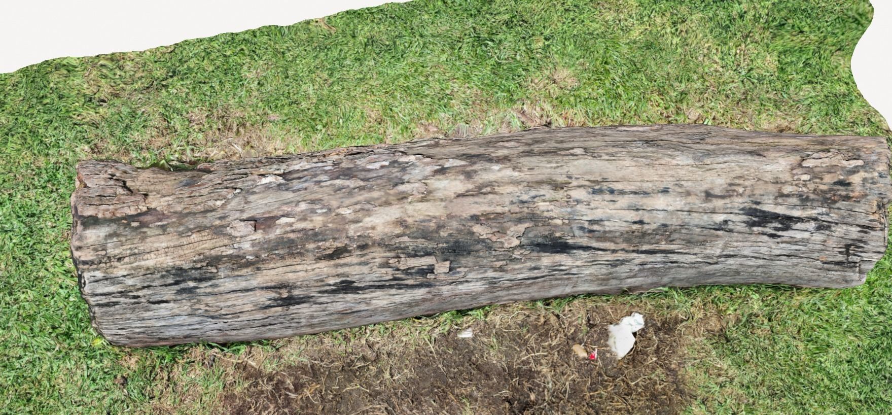 Tree bark on ground high scanned 3D model 3D model_7