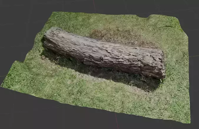 Tree bark on ground high scanned 3D model