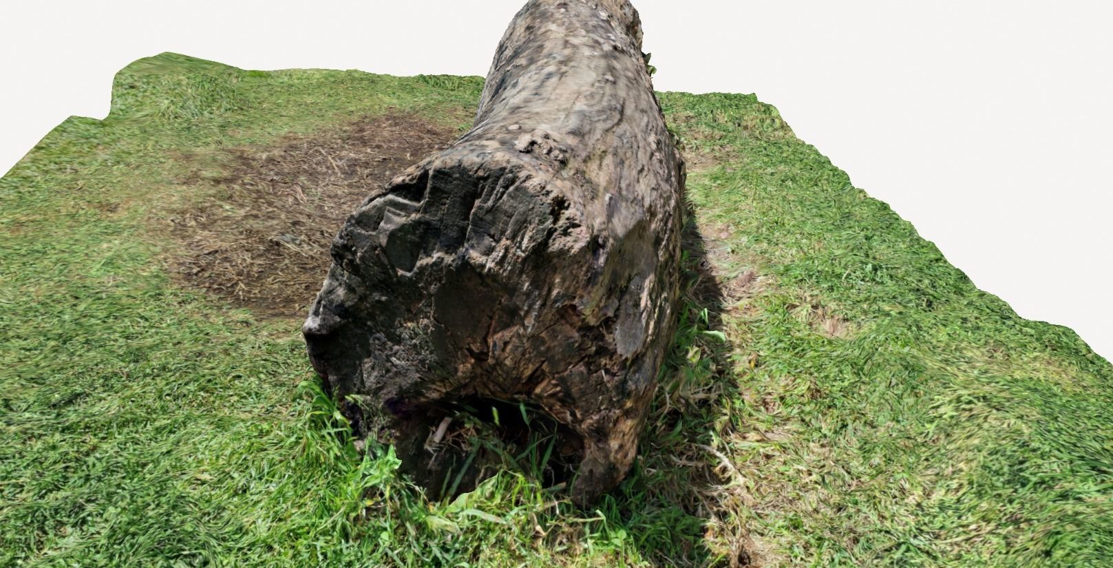 Tree bark on ground high scanned 3D model 3D model_4