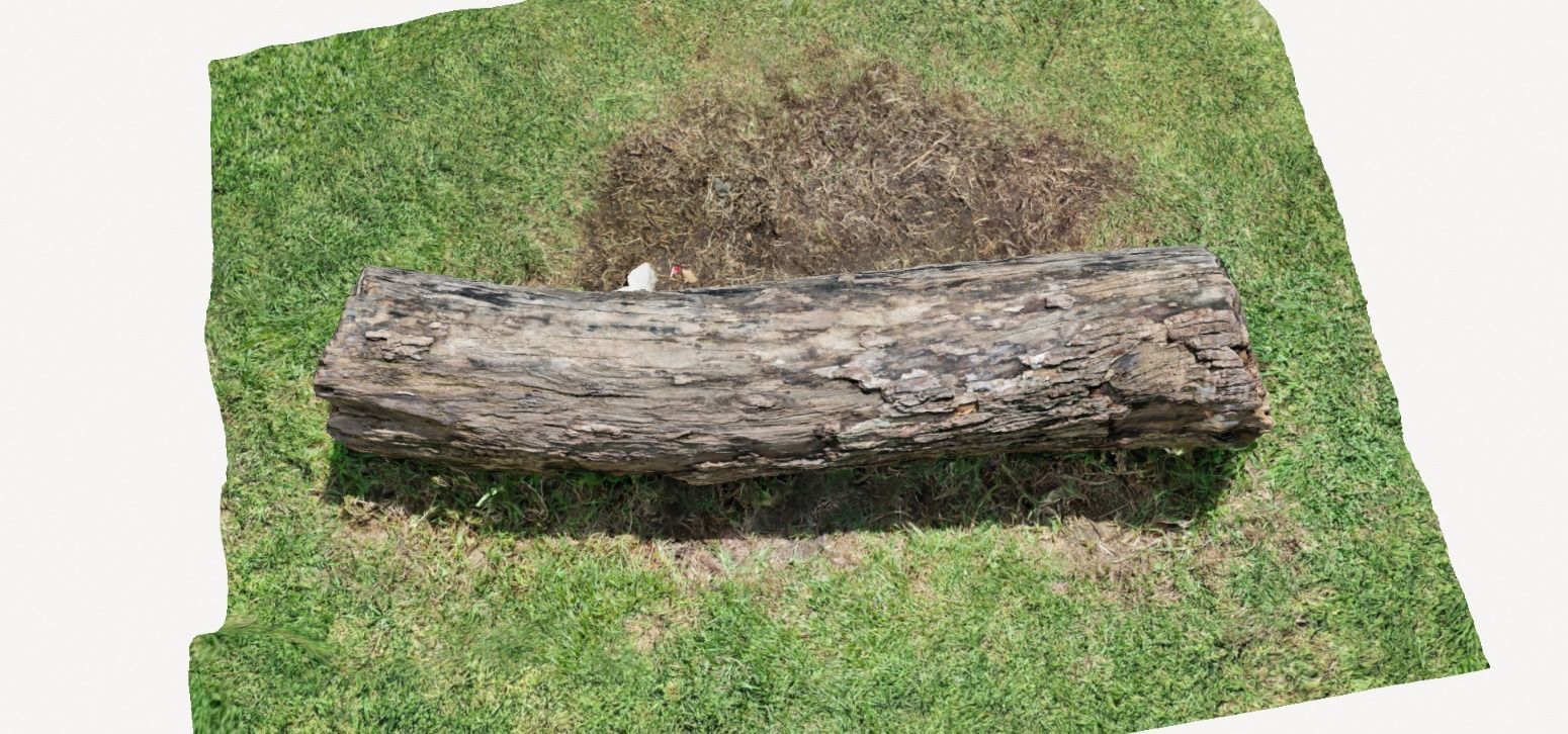 Tree bark on ground high scanned 3D model 3D model_8