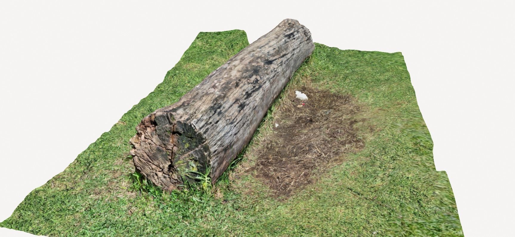 Tree bark on ground high scanned 3D model 3D model_9