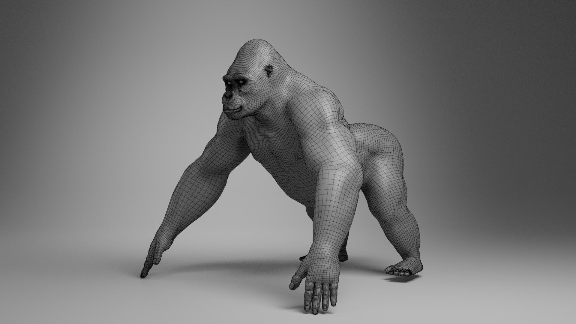 Silverback Gorilla Animation  VFX Grace 3D model_27
