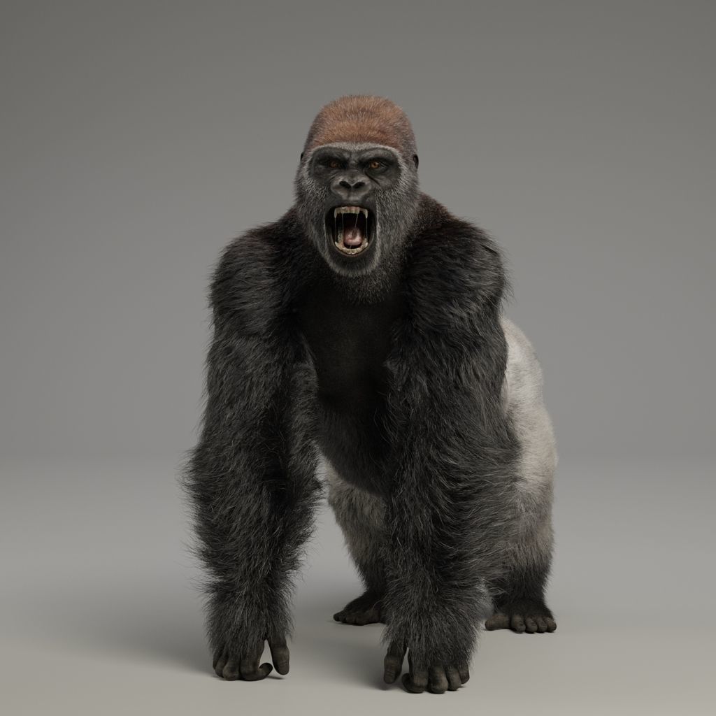 Silverback Gorilla Animation VFX Grace 3D model animated rigged | CGTrader