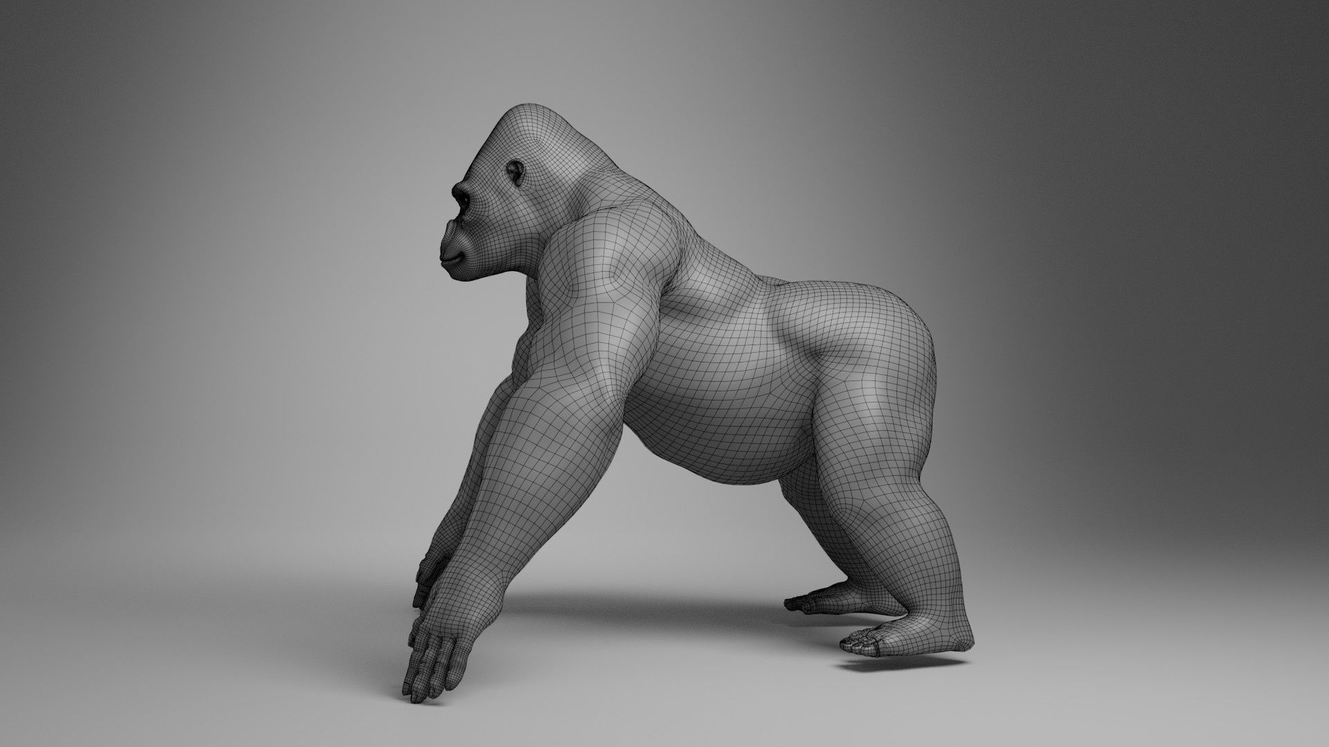 Silverback Gorilla Animation  VFX Grace 3D model_26