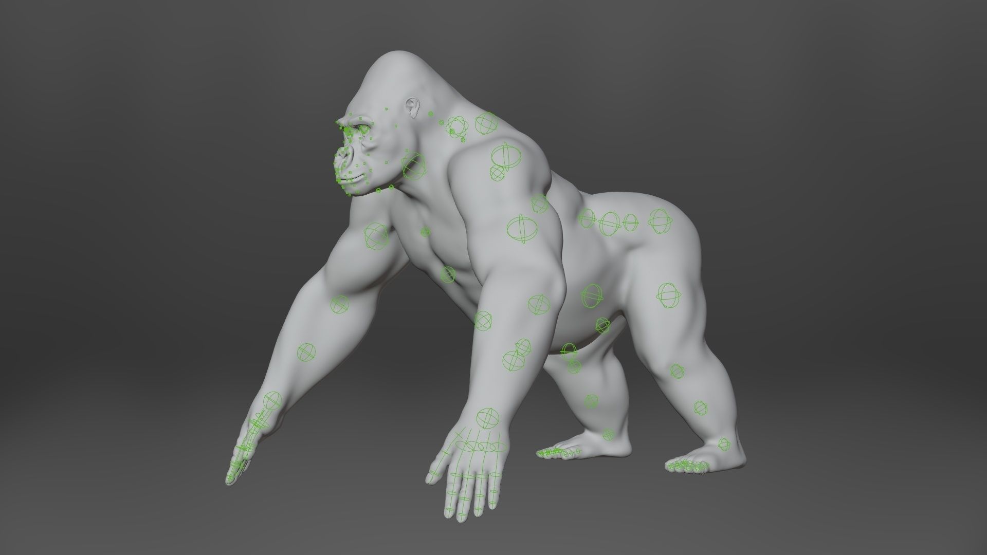 Silverback Gorilla Animation  VFX Grace 3D model_19