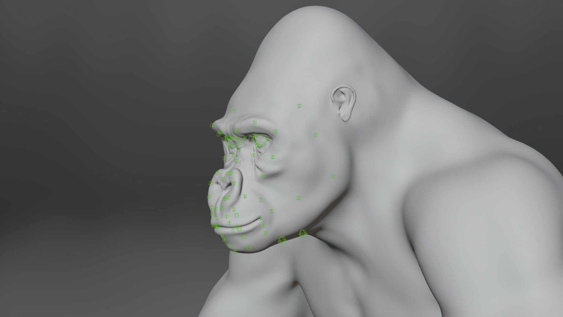 Silverback Gorilla Animation  VFX Grace 3D model_22
