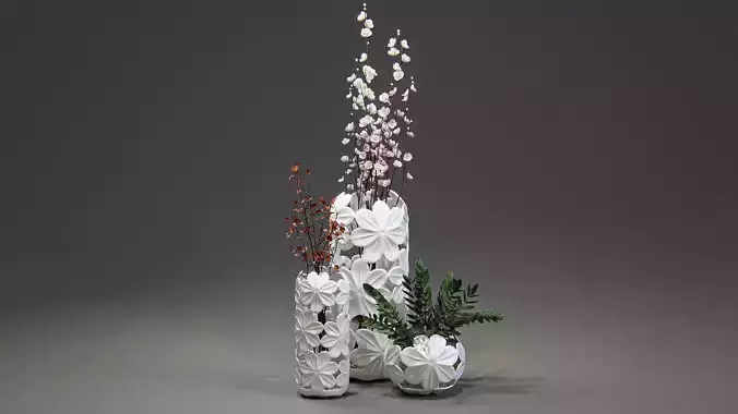 Indoor plants in a decorative vases