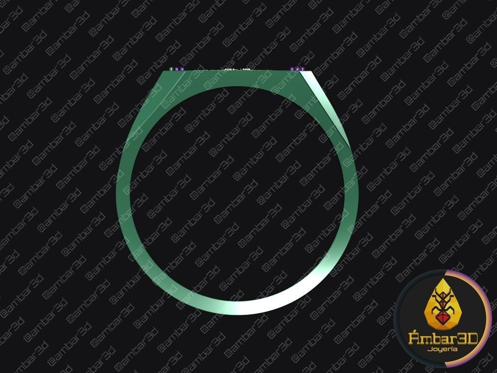 Valiant Defender National Police of Colombia Commemorative Ring 3D print model_2