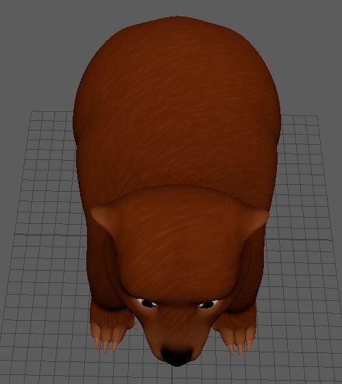 Cartoon Bear 3d Model Low-poly 3D model_14