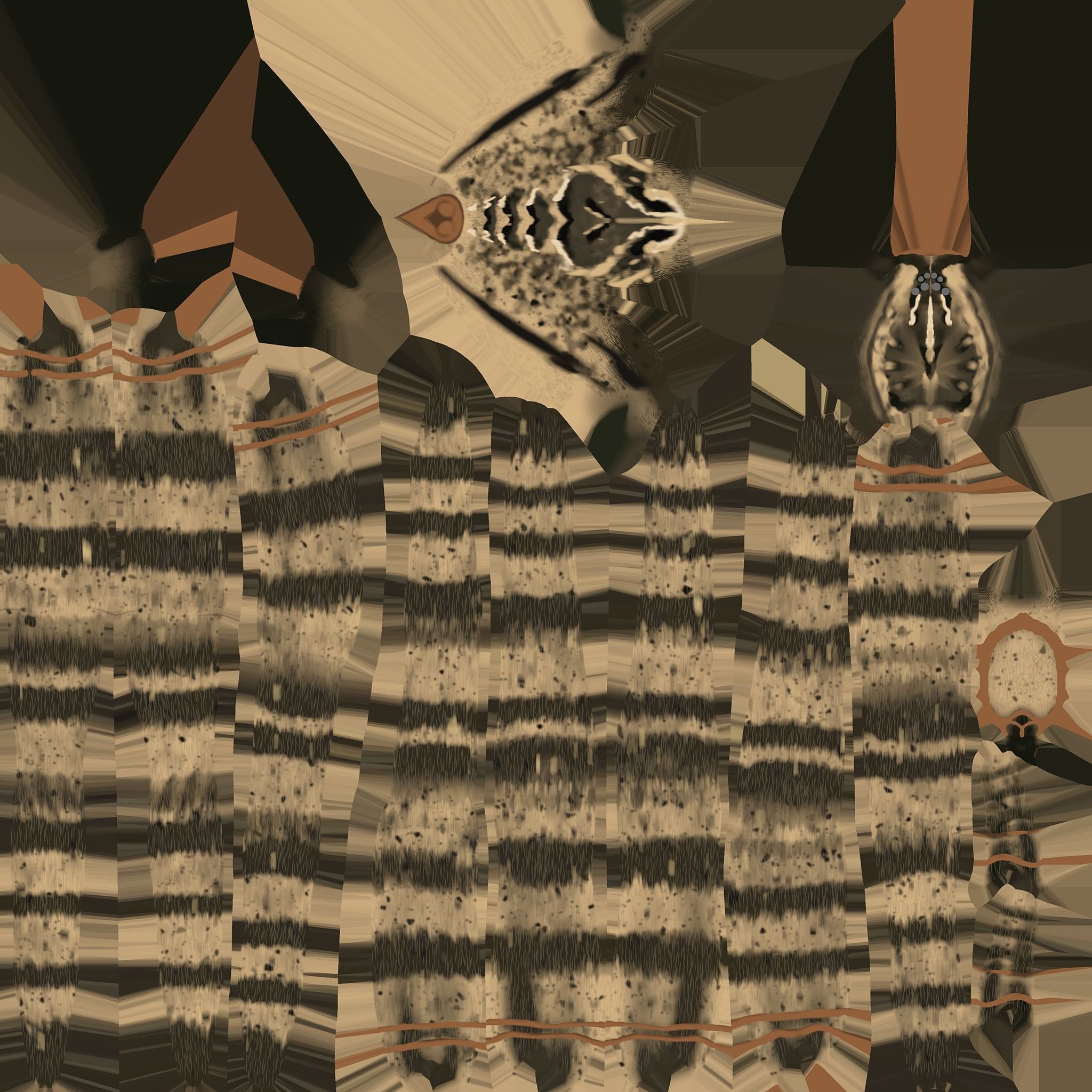 Fishing Spider Low-poly 3D model_12