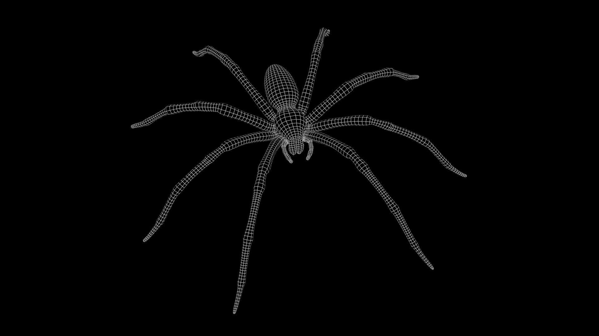 Fishing Spider Low-poly 3D model_10
